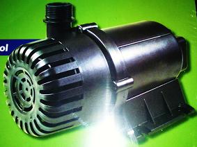 dwp6000